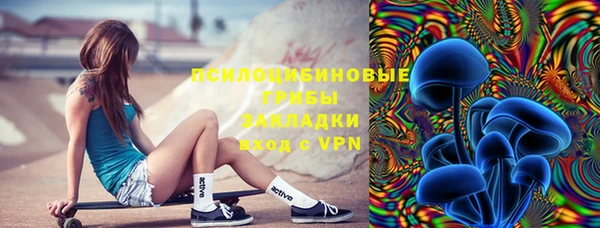 гидропоника Богородицк