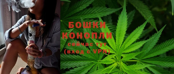 гидропоника Богородицк