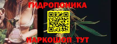 индика Бердск