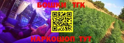 индика Бердск