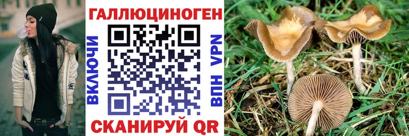 Псилоцибиновые грибы GOLDEN TEACHER  Богородск 