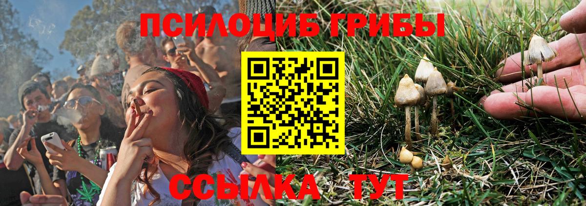 Галлюциногенные грибы ЛСД Богородск